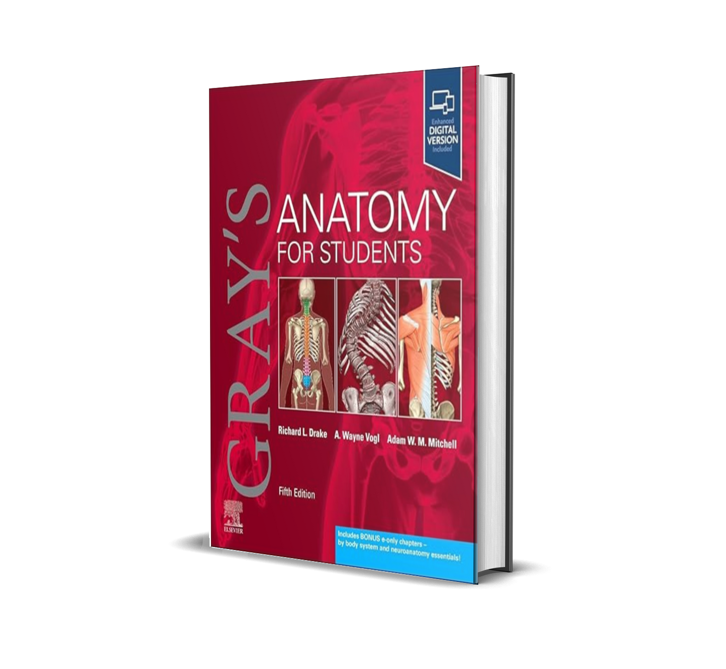 Gray’s Anatomy for Students, 5th Edition PDF