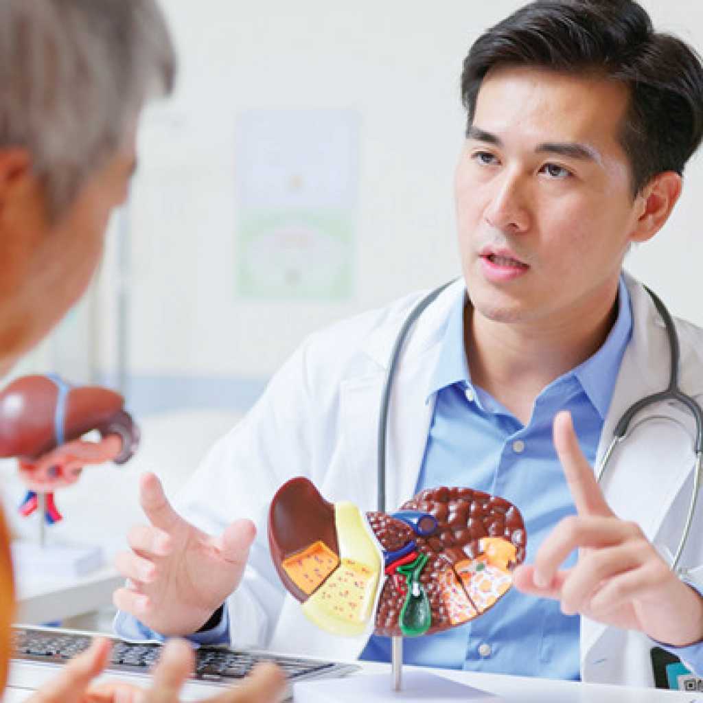 The Brigham Board Review in Gastroenterology & Hepatology 2026