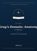 Anatomy — Biblioland AI Study Guide